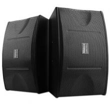 新科（Shinco） DK-450A 家庭影院KTV音響 家用會(huì)議舞臺(tái)音箱 10英寸（GC）