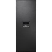 兩分頻揚聲器，90°X50°，雙15