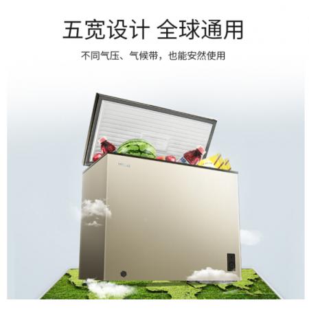 美菱(MELING)201升 一級(jí)能效冷藏冷凍轉(zhuǎn)換冰柜 節(jié)能靜音 單溫臥式  頂開(kāi)門(mén) BC/BD-201DT