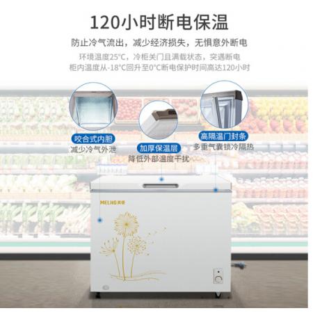 美菱(MELING)300升 冰柜 冷藏冷凍單溫轉(zhuǎn)換冷柜 一級(jí)能效 大冷凍臥式變溫 BC/BD-300DT