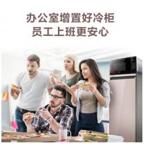 海爾（Haier）151升 電腦溫控全溫區(qū)立式風(fēng)冷無(wú)霜防串味冷藏冷柜 儲(chǔ)藏冰柜 BD-151WLG
