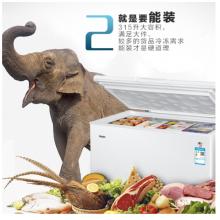 海爾 Haier 315升 商用臥式冰箱冷柜 冷藏冷凍轉(zhuǎn)換冰柜 BC/BD-315HDB 