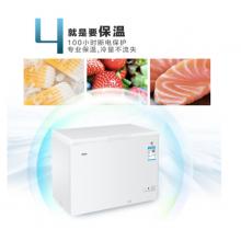 海爾 Haier 315升 商用臥式冰箱冷柜 冷藏冷凍轉(zhuǎn)換冰柜 BC/BD-315HDB 