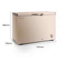 海信 (Hisense) 308升一級(jí)能效商用冰柜冷柜節(jié)能冰箱金色BD/BC-308NUD