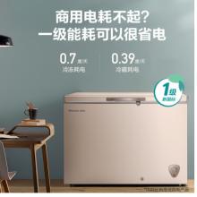 海信 (Hisense) 308升一級(jí)能效商用冰柜冷柜節(jié)能冰箱金色BD/BC-308NUD