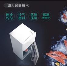 TCL 118升 小型雙門(mén)電冰箱 LED照明 迷你小冰箱 冰箱小型便捷 節(jié)能靜音（芭蕾白）BCD-118KA9