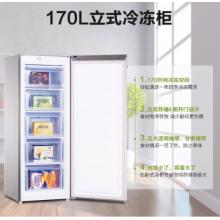 海信（Hisense）170升家用冰柜 一級(jí)能效節(jié)能立式冷凍 抽屜式儲(chǔ)存冷柜 側(cè)開(kāi)門單門冰箱 BD-170/A 