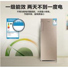 海信（Hisense）170升家用冰柜 一級(jí)能效節(jié)能立式冷凍 抽屜式儲(chǔ)存冷柜 側(cè)開(kāi)門單門冰箱 BD-170/A 