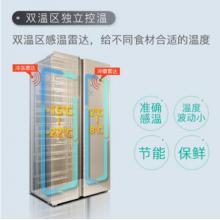 TCL 499升 風冷無霜對開門雙開門電冰箱 隱形電腦控溫 纖薄機身(流光金) BCD-499WEF1