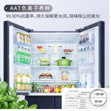 TCL 486升 雙變頻風(fēng)冷無(wú)霜十字對(duì)開(kāi)門(mén)電冰箱 AAT養(yǎng)鮮 電腦控溫 一級(jí)能效 星玄青 BCD-486WPJD