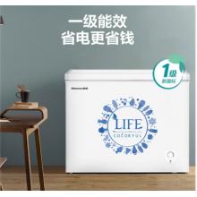 海信 (Hisense) 203升 一級(jí)能效家商用冰柜 冷藏冷凍轉(zhuǎn)換單溫冷柜 節(jié)能靜音 BD/BC-203N/A