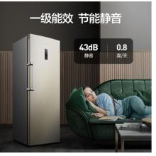 容聲(Ronshen) 252升 風(fēng)冷無(wú)霜冰柜 立式冷凍柜  電腦控溫 一級(jí)能效BD-252WY