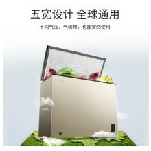 美菱(MELING)201升 一級(jí)能效冷藏冷凍轉(zhuǎn)換冰柜 節(jié)能靜音 單溫臥式  頂開門 BC/BD-201DT