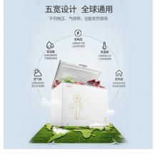 美菱(MELING)300升 冰柜 冷藏冷凍單溫轉(zhuǎn)換冷柜 一級(jí)能效 大冷凍臥式變溫 BC/BD-300DT