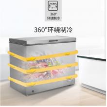 美菱(MELING)207升 冰柜 電腦控溫一級能效 商用冷藏冷凍轉(zhuǎn)換冷柜 節(jié)能單溫臥式 BC/BD-207DTE