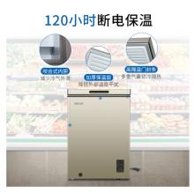 美菱(MELING)100升 一級(jí)能效冷藏冷凍轉(zhuǎn)換冰柜 迷你靜音小冷柜 單溫頂開門 BC/BD-100DT
