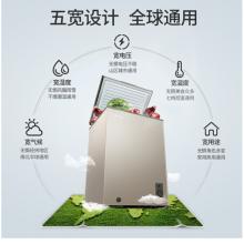 美菱(MELING)100升 一級能效冷藏冷凍轉(zhuǎn)換冰柜 迷你靜音小冷柜 單溫頂開門 BC/BD-100DT
