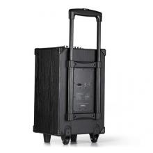 漫步者 (EDIFIER) PW310 10英寸專業(yè)級(jí)移動(dòng)音響  藍(lán)牙拉桿音響 便攜式音響 黑色