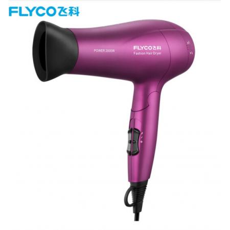 飛科(FLYCO)電吹風(fēng)機 FH6618大功率吹風(fēng)筒負離子 2000W