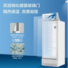 海爾（Haier） 280升風冷無霜立式展示柜冰柜 飲料冷藏柜 保鮮柜冷柜SC-288DS