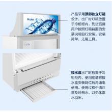 海爾（Haier） 280升風冷無霜立式展示柜冰柜 飲料冷藏柜 保鮮柜冷柜SC-288DS