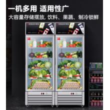 德瑪仕 DEMASHI 水果蔬菜保鮮柜  五層328L省電款 LG-388A