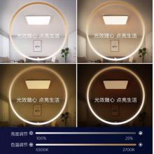 飛利浦（PILIPS）客廳燈L吸頂燈北歐現(xiàn)代簡(jiǎn)約客廳臥室書(shū)房燈飾 四室一廳 9290031823怡軒智能Wii 套餐