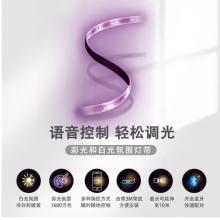 飛利浦 PHILIPS智能Wi-Fi彩光和白光氛圍LED燈帶1米補(bǔ)充裝