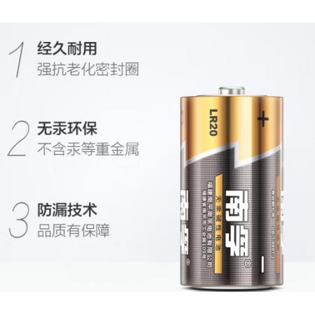 南孚(NANFU) 1號電池