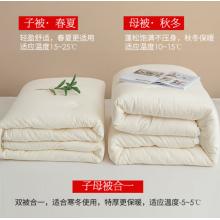 南極人NanJiren 抗菌七孔纖維冬被 二合一子母被 雙人加厚秋冬被冬季空調被芯 200*230cm3+5斤