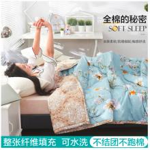 南極人NanJiren 夏被空調(diào)被 180*220cm 全棉被子被芯雙人學(xué)生夏涼被夏季薄被子