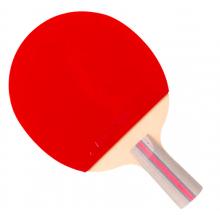 紅雙喜DHS三星直拍乒乓球拍對(duì)拍套裝五層底板ITTF認(rèn)證膠皮H3006雙拍附球包乒乓球