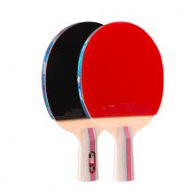 紅雙喜DHS三星直拍乒乓球拍對(duì)拍套裝五層底板ITTF認(rèn)證膠皮H3006雙拍附球包乒乓球