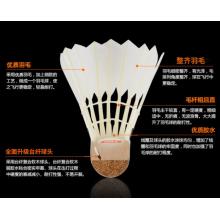 紅雙喜DHS羽毛球 飛行穩(wěn)定堅(jiān)韌耐打訓(xùn)練用球402 12只裝