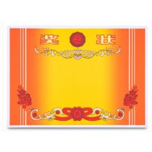 獎(jiǎng)狀 遞樂 A3