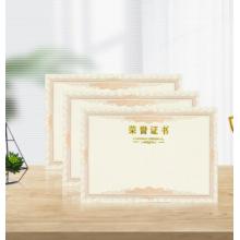得印(befon)榮譽(yù)證書內(nèi)芯內(nèi)頁 結(jié)業(yè)證書獎(jiǎng)狀內(nèi)芯 學(xué)校企業(yè)褒獎(jiǎng)證書紙 A4紙張內(nèi)頁 文具 12張 2503