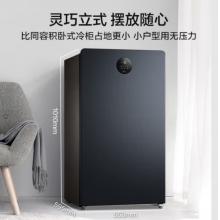 美的（Midea）120升節(jié)能家用立式冰柜-40℃深冷電子控溫冷藏冷凍轉(zhuǎn)換 抽屜式小型全冷凍冰箱冷柜 BD/BC-120UEM
