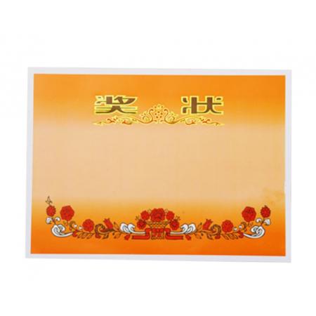 斯圖獎(jiǎng)狀紙專(zhuān)業(yè)加厚獎(jiǎng)狀紙16K花藍(lán)空白獎(jiǎng)狀 雙膠紙 100張