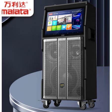 專業(yè)戶外移動視頻音響   萬利達  M＋9523