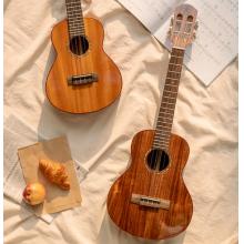 彩虹人（aNueNue）ukulele尤克里里初學者烏克麗麗小吉他 23英寸B2桃花芯木