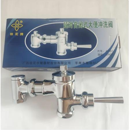 桂花 DN20 延時(shí)閥 