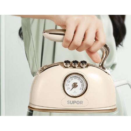 蘇泊爾（SUPOR）手持掛燙機家用蒸汽電熨斗自清潔便攜除菌大蒸汽大面板燙衣服旅行便攜熨燙機EGH-919A 