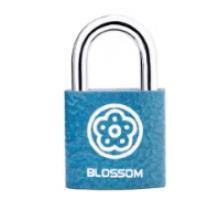  梅花（BLOSSOM）抽屜鎖掛鎖工具箱室內(nèi)小鎖宿舍柜子門(mén)鎖電表箱鎖BC2925藍(lán)25MM
