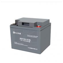 臺(tái)達(dá) DCF126 -12/38 電池