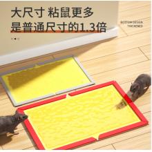 粘鼠板	綠葉超強(qiáng)力 50個(gè)/箱